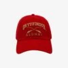 Harry Potter Gryffindor Alumni Cap - BoxLunch Exclusive -Boxlunch 12089022 hi