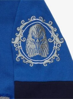 Harry Potter Ravenclaw Crest Panel Hoodie - BoxLunch Exclusive -Boxlunch 18809321 av2