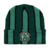 Harry Potter Slytherin Striped Cuff Beanie - BoxLunch Exclusive -Boxlunch 19177801 hi