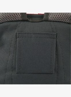 Disney Mickey Mouse NFL Kansas City Chiefs Cooler Backpack -Boxlunch 19832001 av2