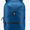 Nixon Day Trippin' Backpack Royal Blue -Boxlunch 20820111 hi